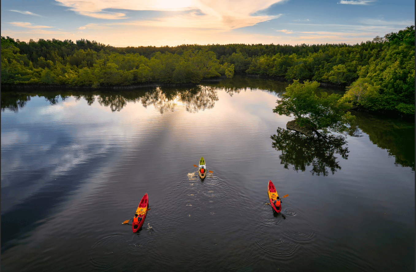 Tour en Balsa o Kayak